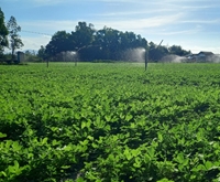 Bình Định Tăng cường ứng dụng hệ thống tưới tiết kiệm nước vào sản xuất nông nghiệp