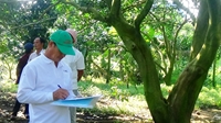 Tây Ninh Tập huấn chủ đề “Nhận dạng, biện pháp phòng trừ sâu bệnh hại trên các loại cây ăn quả”