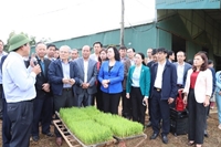 Khuyến nông Hà Nội góp phần thay đổi phương thức sản xuất nông nghiệp Thủ đô