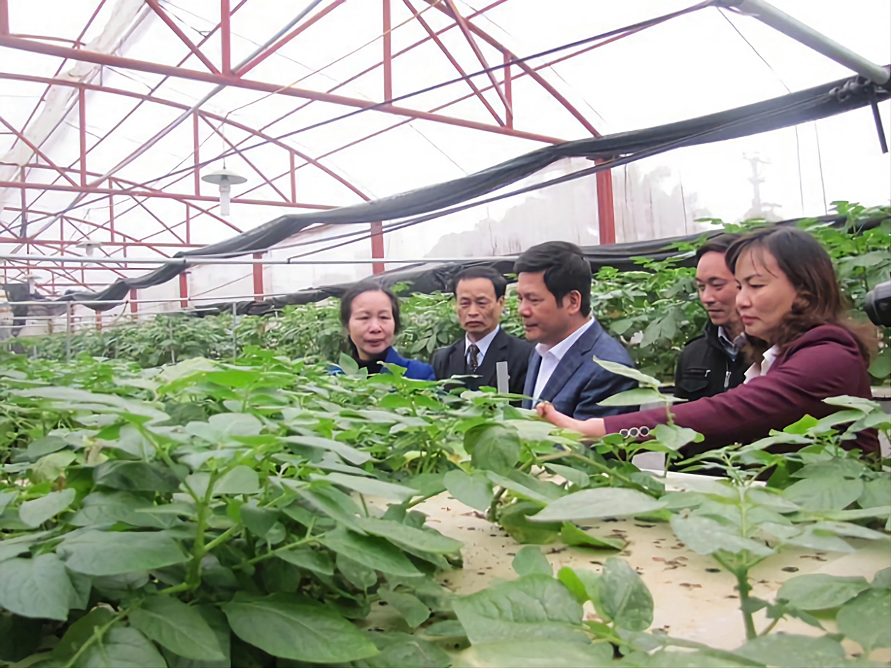 Khuyến nông Thái Bình - 30 năm hình thành và phát triển