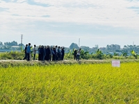 Bắc Ninh Hội nghị đầu bờ mô hình ứng dụng quản lý dịch hại tổng hợp IPM trên cây lúa vụ mùa 2023