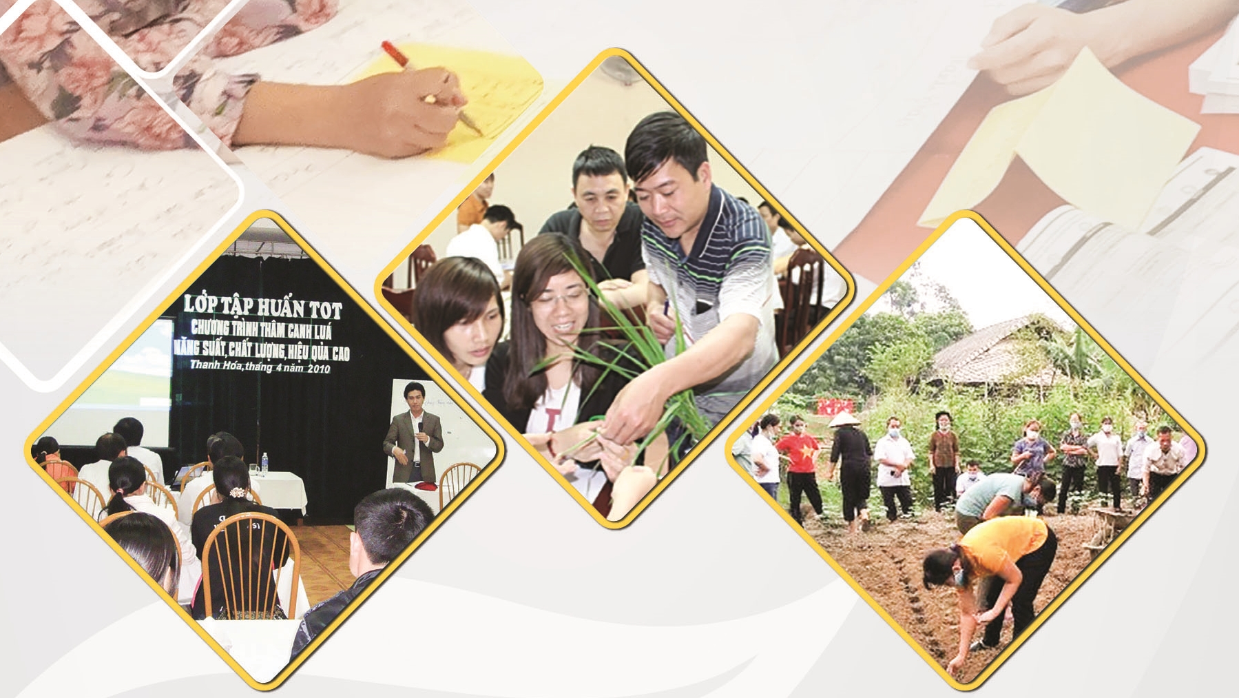 Đào tạo huấn luyện - Giá trị cốt lõi nâng cao năng lực Hệ thống Khuyến nông