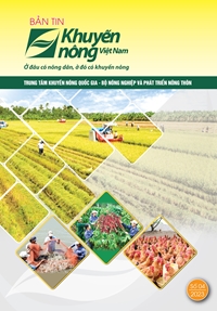 Bản tin Khuyến nông Việt Nam số 4-2023