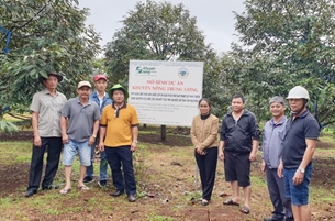 Đắk Lắk Sơ kết dự án xây dựng mô hình sản xuất cây ăn quả theo VietGAP tại một số tỉnh Tây Nguyên