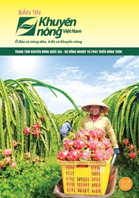 Bản tin Khuyến nông Việt Nam số 8 - 2023