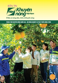 Bản tin Khuyến nông Việt Nam số 10 - 2023