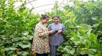 Uzbekistan Sáng kiến làng kỹ thuật số đưa nông nghiệp hướng đến tương lai