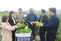 Nông nghiệp Tuyên Quang đạt kết quả vượt bậc