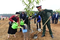 Tuyên Quang Phấn đấu hoàn thành kế hoạch trồng rừng năm 2024