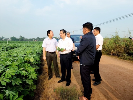 Thứ trưởng Bộ Nông nghiệp và PTNT Hoàng Trung khảo sát mô hình sản xuất cây khoai mì tại xã Phước Ninh, huyện Dương Minh Châu