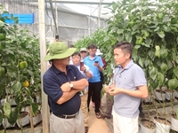Tây Ninh Học tập kinh nghiệm các mô hình sản xuất nông nghiệp tại Lâm Đồng