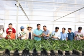 Bắc Ninh Tham quan học tập kinh nghiệm phát triển nông nghiệp ứng dụng công nghệ cao tại tỉnh Bình Thuận và Lâm Đồng