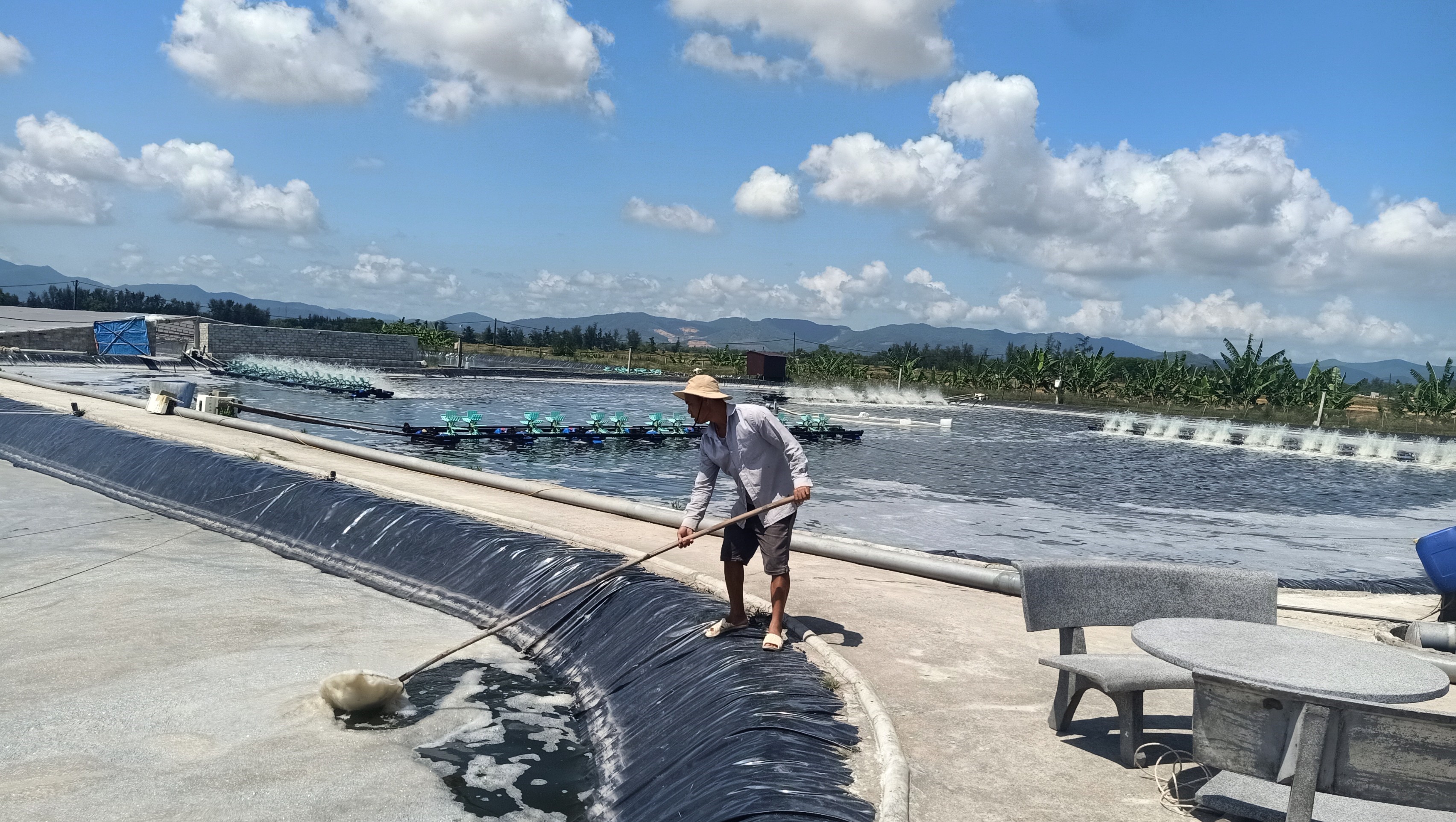 Mô hình nuôi tôm hiệu quả ứng phó mùa mưa lũ