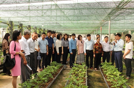 Bắc Ninh Phát triển nông nghiệp gắn với du lịch sinh thái