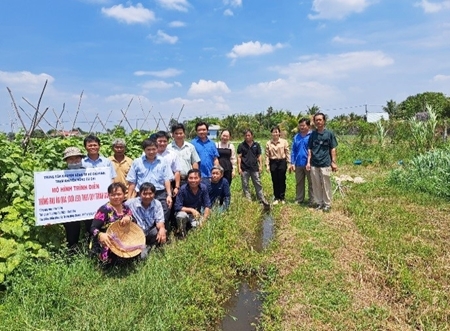 Thành phố Hồ Chí Minh Hỗ trợ nông dân sản xuất, nâng cao hiệu quả kinh tế từ mô hình trồng rau ăn quả theo quy trình VietGAP