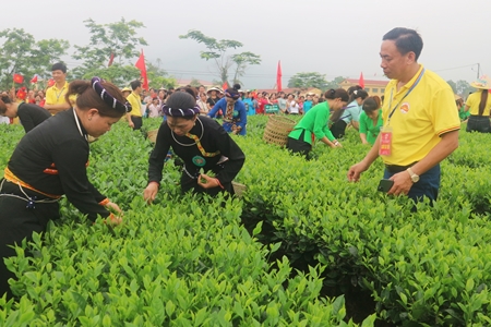 Lễ hội trà huyện Đại Từ năm 2024