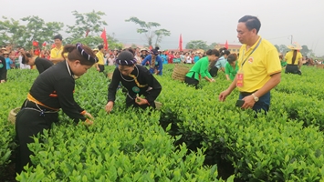 Lễ hội trà huyện Đại Từ năm 2024