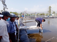 Bình Định Tổ chức nhiều lớp tập huấn chuyển giao kỹ thuật nuôi trồng thủy sản