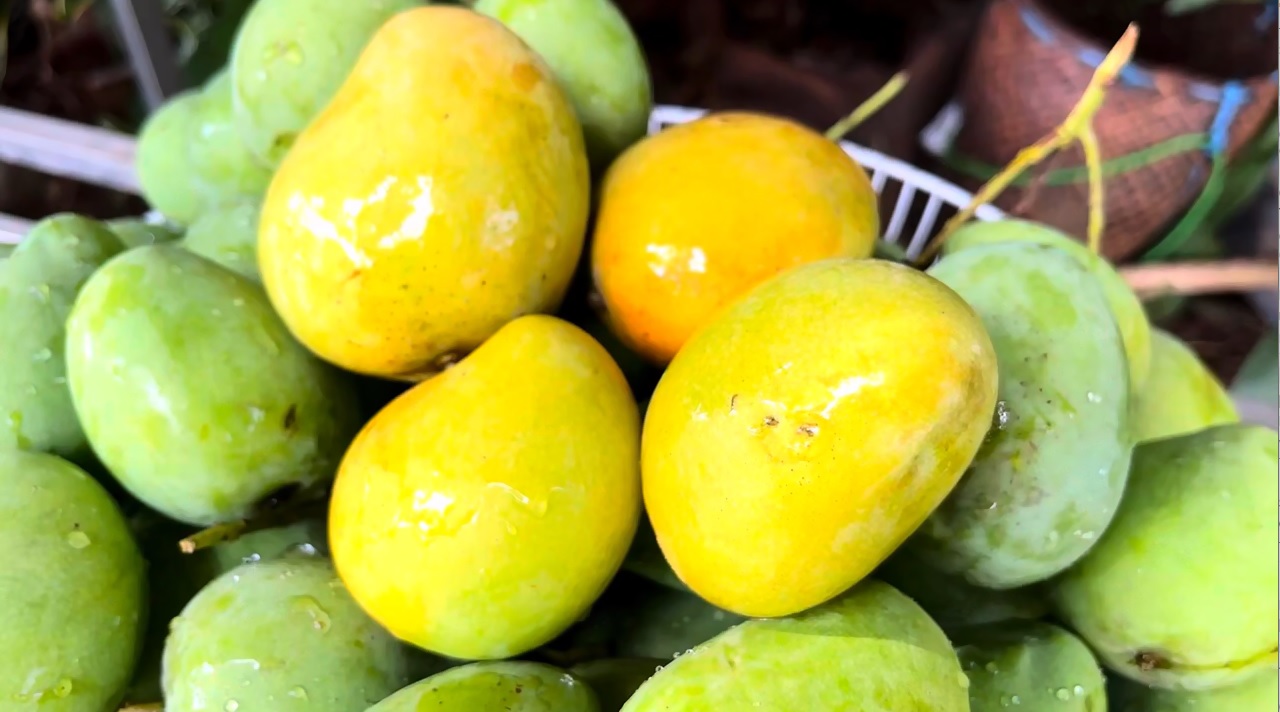 Tăng cường chuỗi giá trị cây trồng an toàn tại các tỉnh phía Bắc