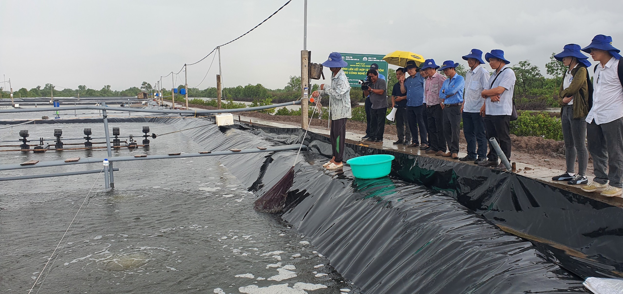 Phát triển nuôi tôm bền vững, giảm phát thải, thích ứng với biến đổi khí hậu vùng ĐBSCL