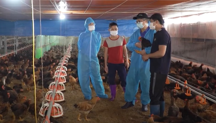 Chăn nuôi an toàn sinh học tạo sản phẩm an toàn thực phẩm