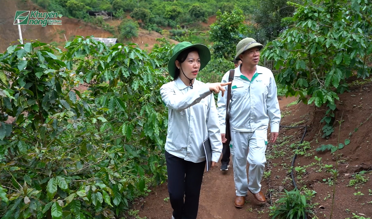 Khuyến nông cộng đồng - Vạn bước chân kết nối