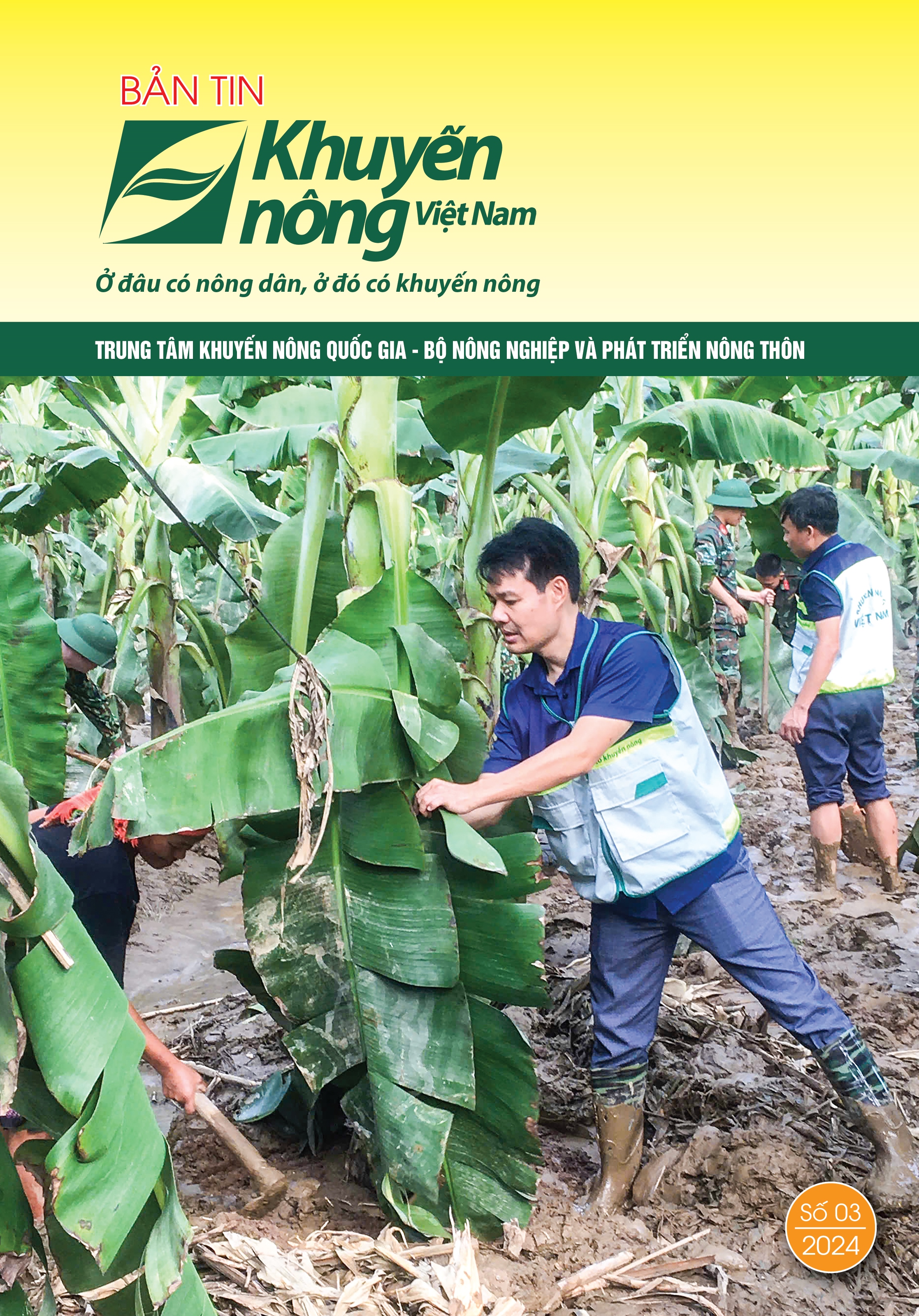 Bản tin Khuyến nông Việt Nam 3-2024
