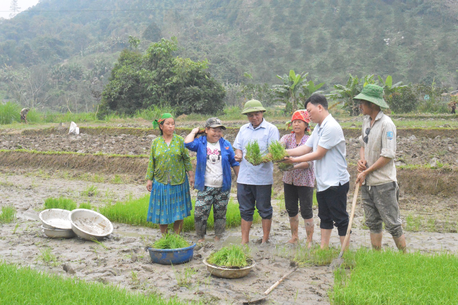 Kiên Giang: Khuyến nông Cộng đồng - Cánh tay đắc lực của ngành nông nghiệp - PS của báo NNVN