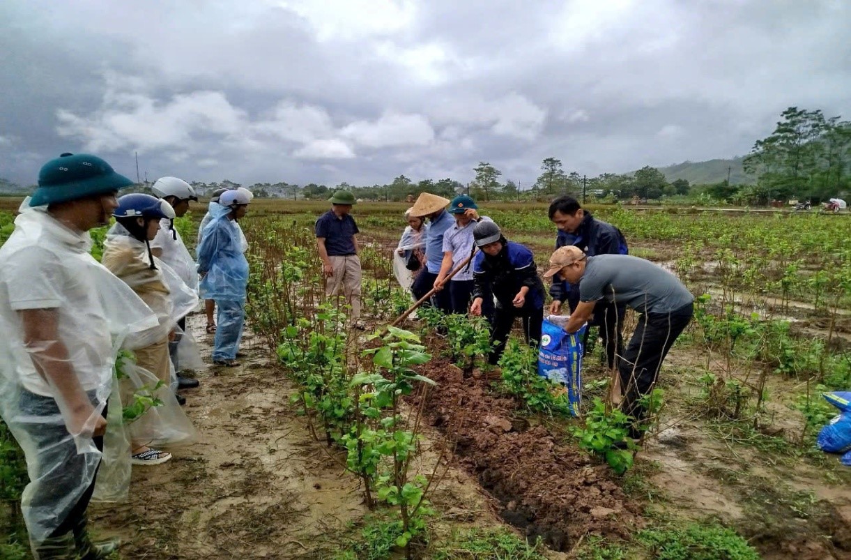 Khuyến nông Yên Bái đồng hành cùng người dân khắc phục hậu quả sau cơn bão Yagi