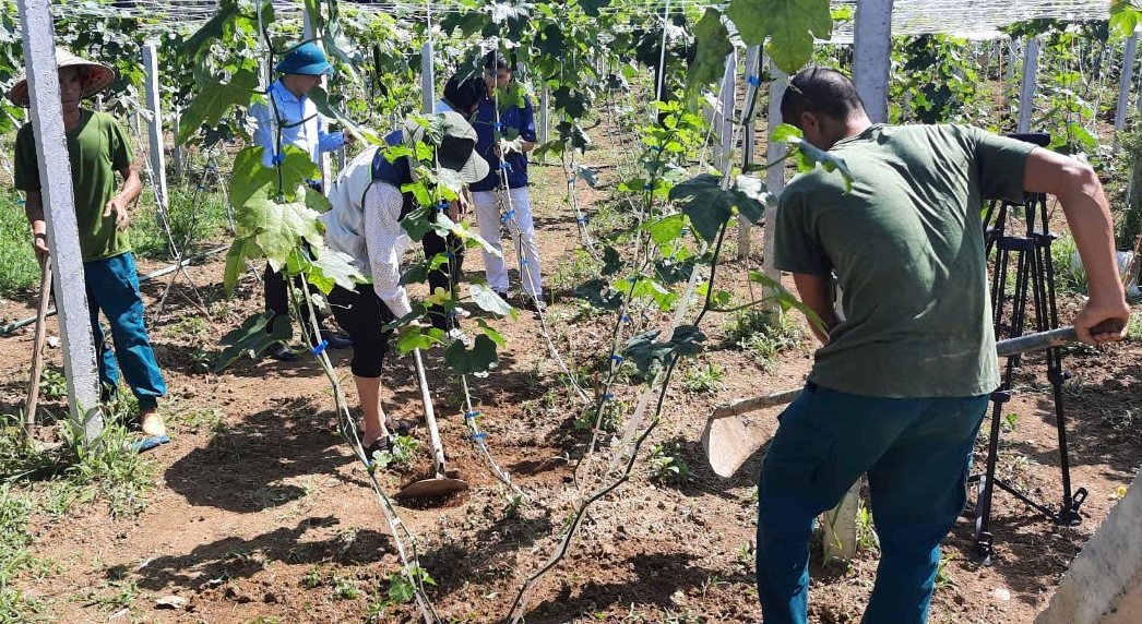 Hà Giang Khuyến nông đồng hành khắc phục sản xuất nông nghiệp sau mưa lũ