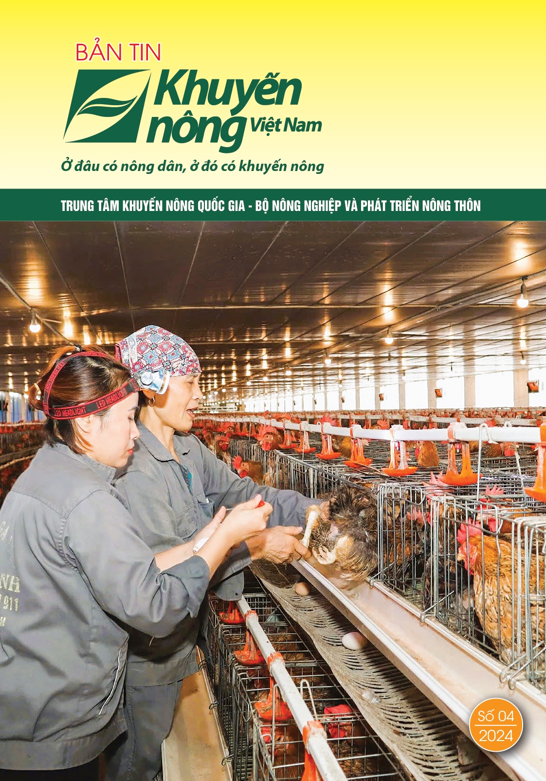 Bản tin Khuyến nông Việt Nam số 4-2024