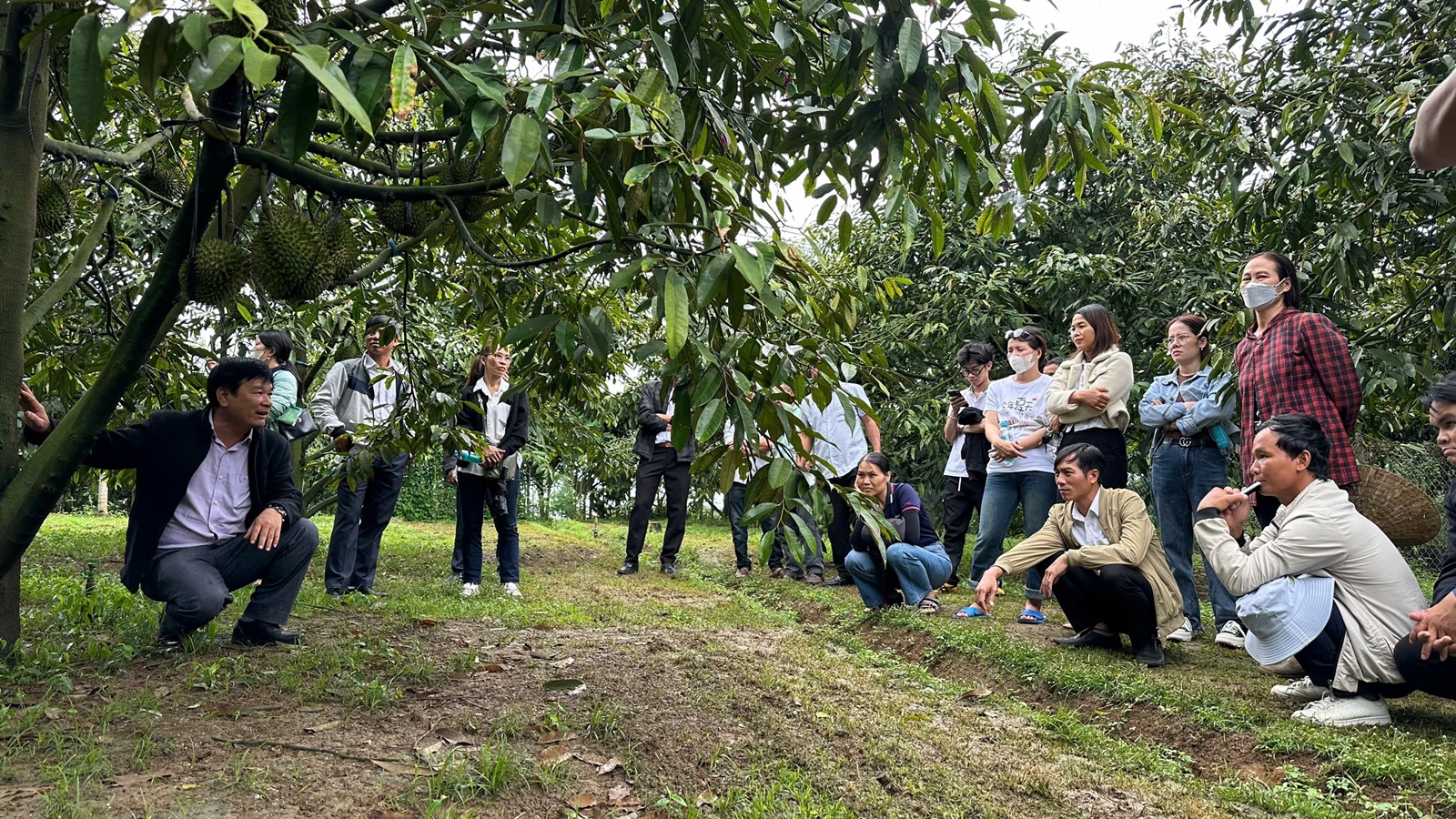 Lâm Đồng Tập huấn nâng cao năng lực, kiện toàn tổ chức khuyến nông cơ sở