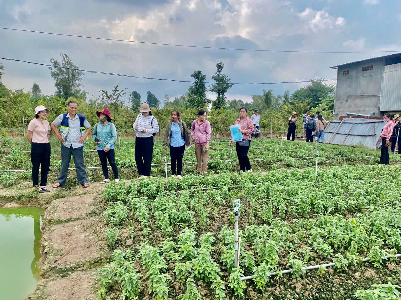 An Giang Nâng cao kiến thức và nhân rộng mô hình Tổ Khuyến nông cộng đồng