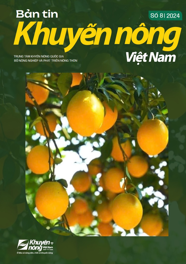 Bản tin Khuyến nông Việt Nam số 8-2024