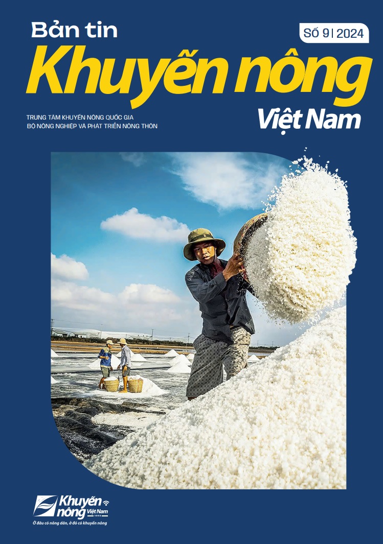 Bản tin Khuyến nông Việt Nam số 9 - 2024