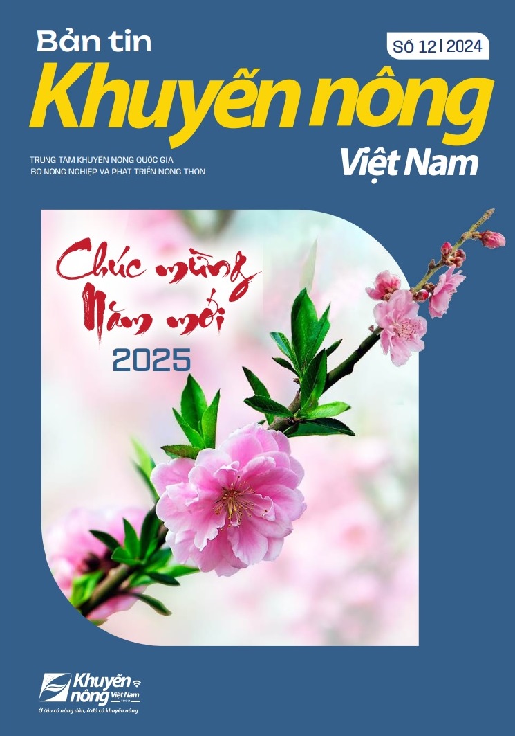 Bản tin Khuyến nông Việt Nam 12-2024