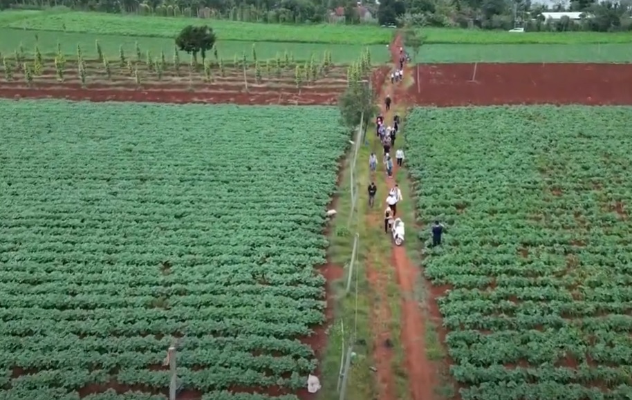 Mô hình sinh kế bền vững cho nông hộ nhỏ vùng núi