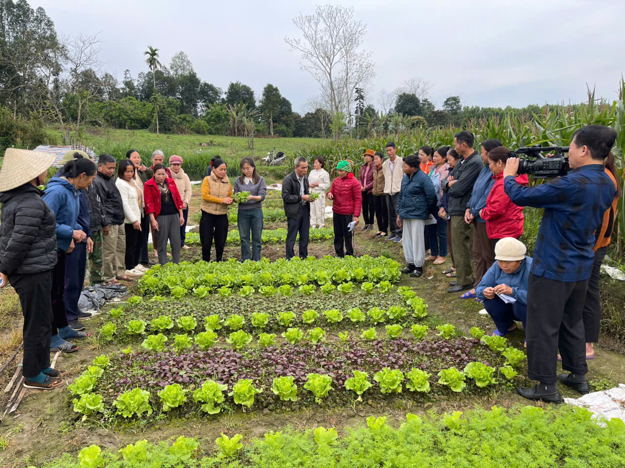 Tuyên Quang 70 nông dân được tập huấn sản xuất nông nghiệp tái sinh