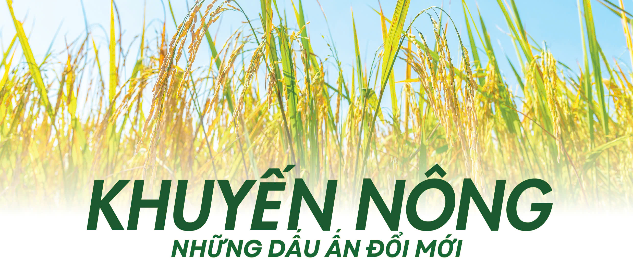 Khuyến nông - Những dấu ấn đổi mới