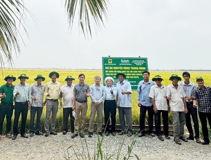 Đồng Tháp Triển khai mô hình canh tác lúa giảm phát thải phục vụ phát triển bền vững vùng nguyên liệu xuất khẩu 2025