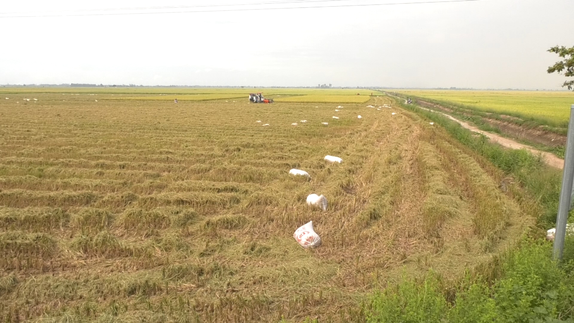 Khoa học, công nghệ, đổi mới sáng tạo và chuyển đổi số Nền tảng quan trọng cho sự phát triển nhanh, bền vững của Ngành Nông nghiệp và Môi trường