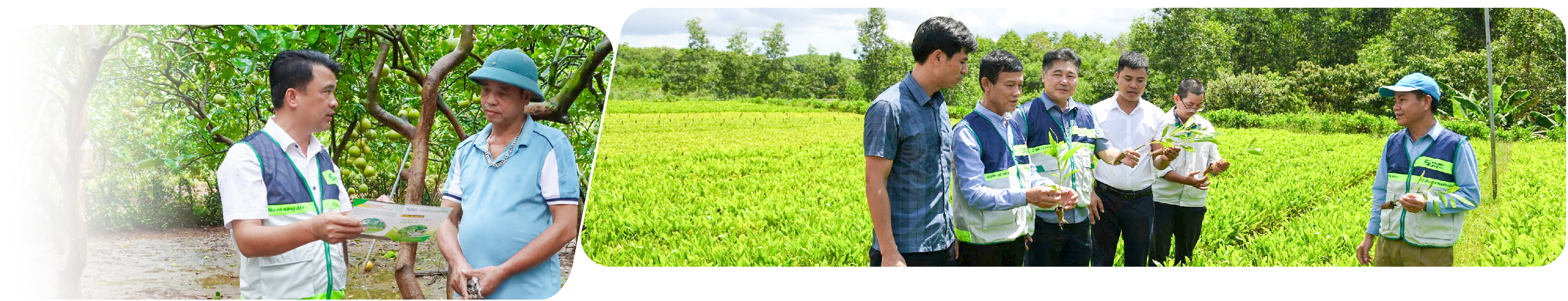 Khuyến nông cộng đồng