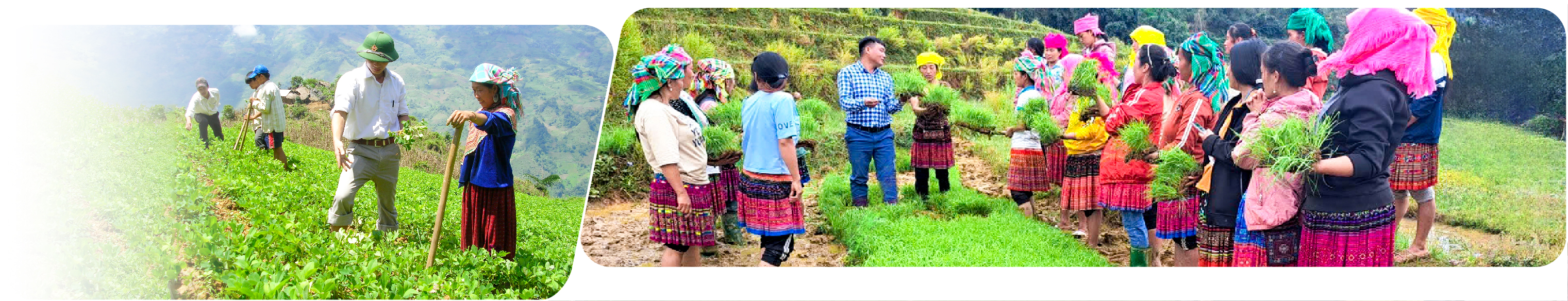 Khuyến nông với đồng bào dân tộc thiểu số