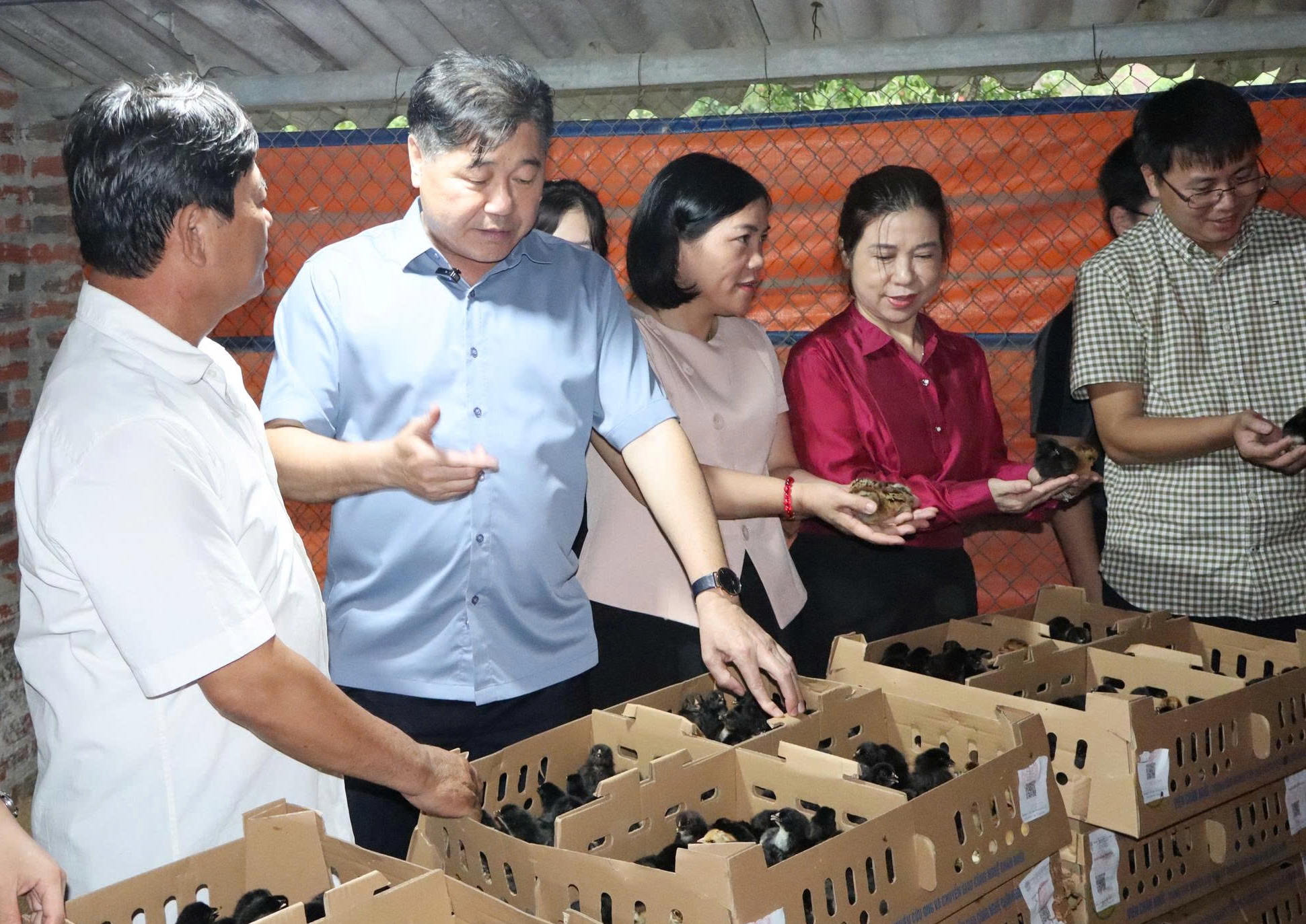 Trung tâm Khuyến nông quốc gia bàn giao giống cho nông dân Hải Dương thực hiện mô hình chăn nuôi theo chuỗi liên kết