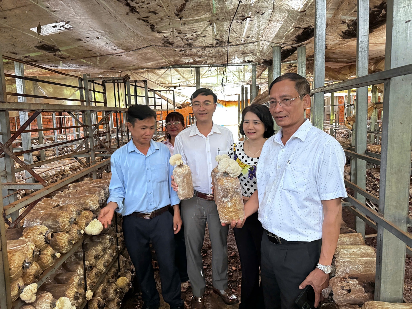 Khảo sát một số mô hình trồng nấm – xây dựng hướng phát triển nông nghiệp tuần hoàn