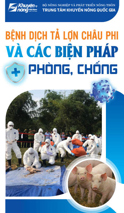 Bệnh dịch tả lợn châu Phi và các biện pháp phòng, chống