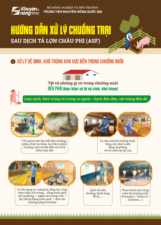 Hướng dẫn xử lý chuồng trại sau dịch tả lợn Châu Phi ASF