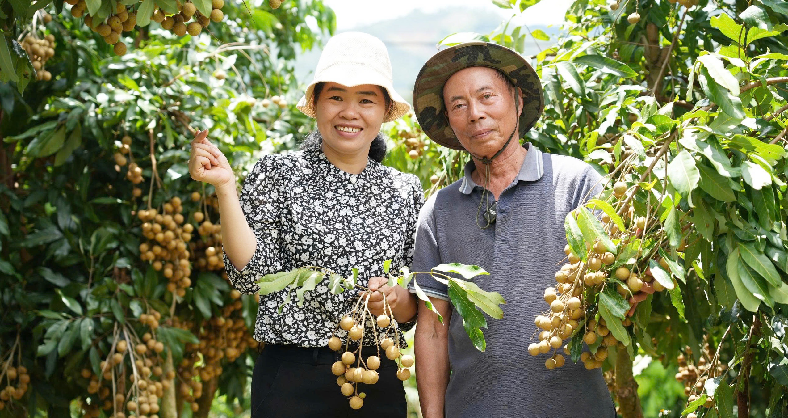 Lễ mở vườn và Hội nghị phát triển chuỗi giá trị sản phẩm nhãn Ánh vàng 205