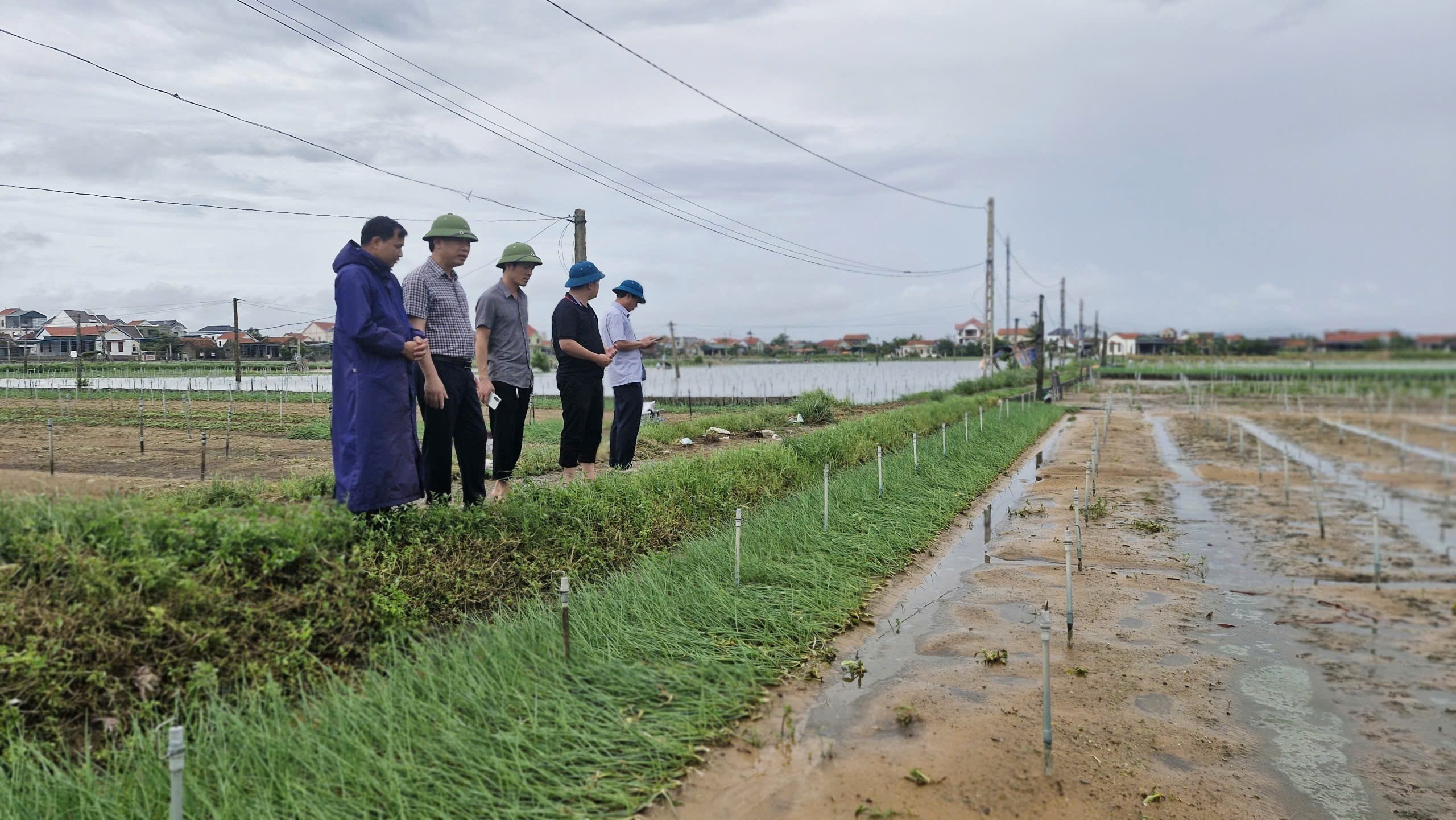 Nghệ An Hoạt động của hệ thống khuyến nông khi vận hành chính quyền địa phương 2 cấp