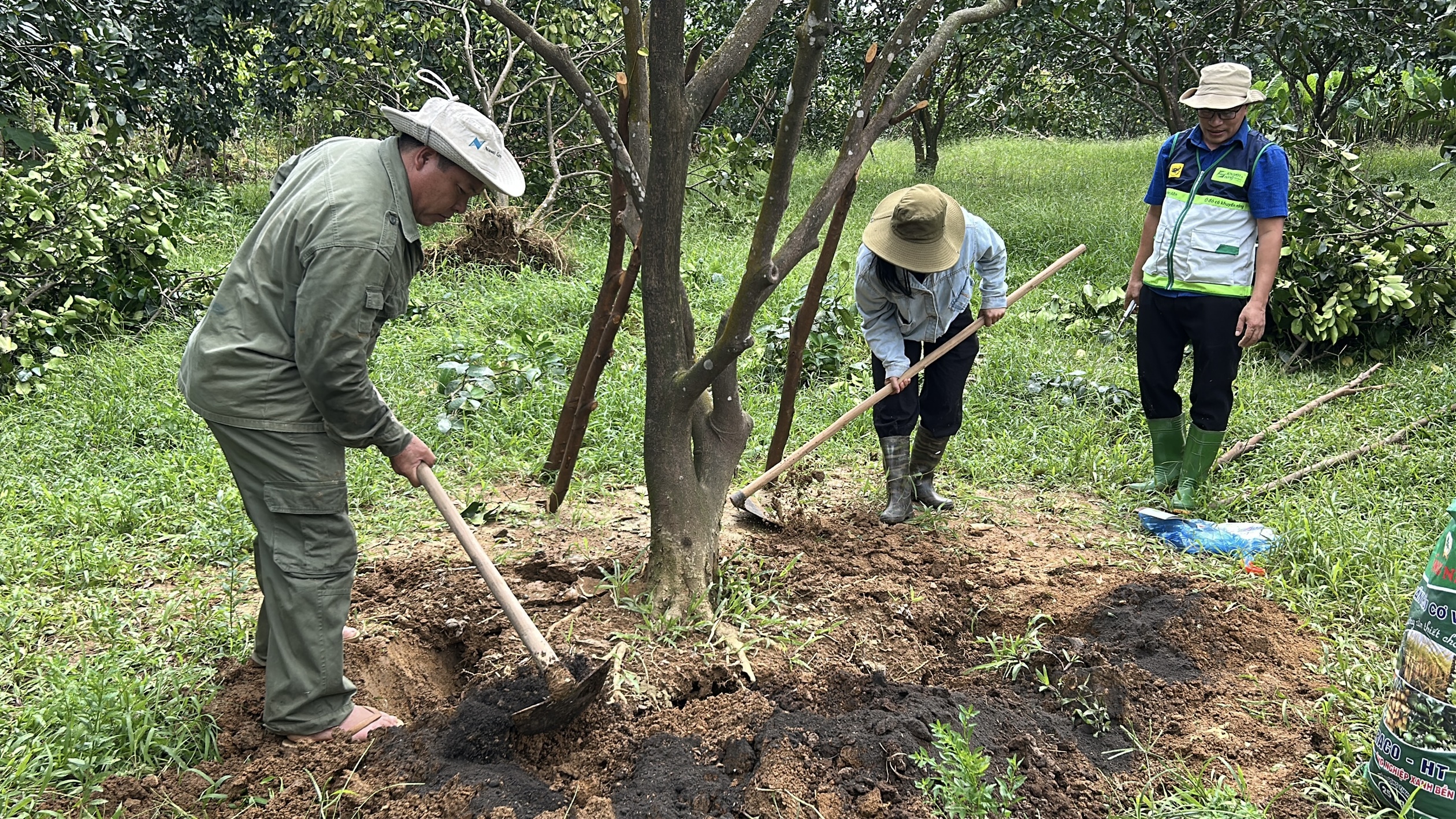 Cục Trồng trọt và Bảo vệ thực vật Hướng dẫn khôi phục sản xuất trồng trọt sau bão số 11